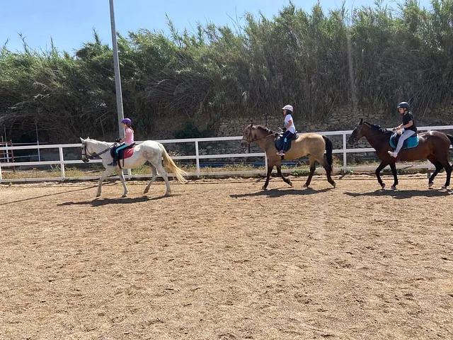 Escuela De Equitación Boremai